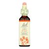 Bach Flower Remedies Essence Aspen - 0.7 fl oz