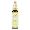 Bach Flower Remedies Essence Mustard - 0.7 fl oz