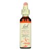 Bach Flower Remedies Essence Mimulus - 0.7 fl oz