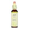 Bach Flower Remedies Essence Olive - 0.7 fl oz