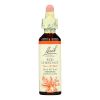 Bach Flower Remedies Essence Red Chestnut - 0.7 fl oz