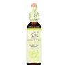 Bach Flower Remedies Essence Honeysuckle - 0.7 fl oz