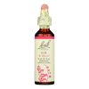 Bach Flower Remedies Essence Elm - 0.7 fl oz