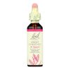 Bach Flower Remedies Essence Sweet Chestnut - 0.7 fl oz