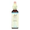 Bach Flower Remedies Essence Vervain - 0.7 fl oz