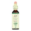 Bach Flower Remedies Essence Centaury - 0.7 fl oz