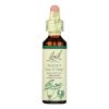 Bach Flower Remedies Essence Walnut - 0.7 fl oz