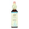 Bach Flower Remedies Essence Chicory - 0.7 fl oz